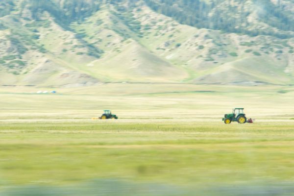 Влияние закиси азота на экологию и климатические изменения