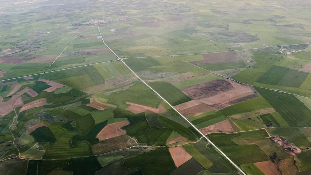 Нитрозооксид (N2O) и его влияние на экосистему